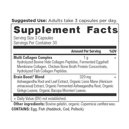 Multi Collagen Brain Boost Capsules