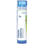 Calcarea Sulphurica 6 C Md