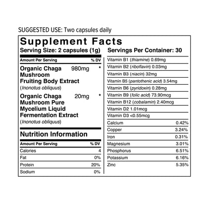 Chaga Mushrooms