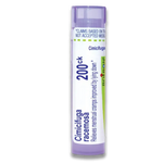 Cimicifuga Racemosa 200CK