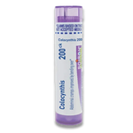 Colocynthis 200CK