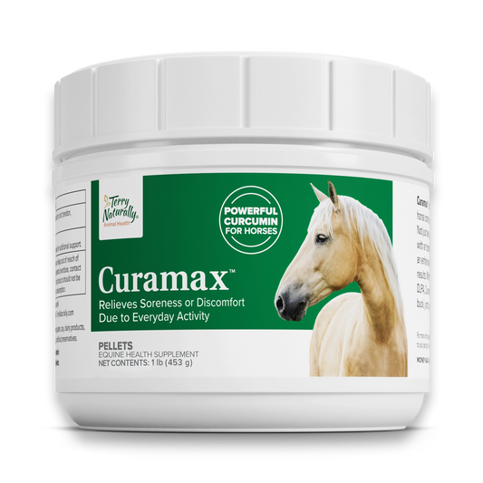 Curamax for Horses