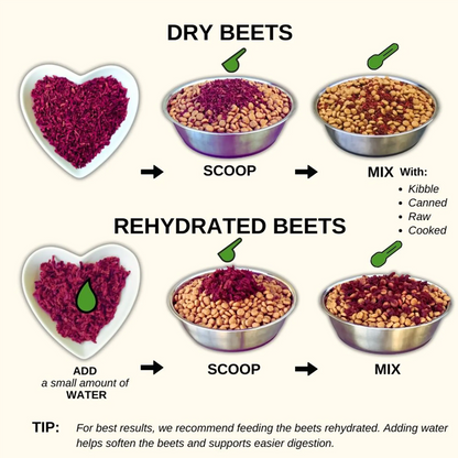 Original Beets Dog Food Topper