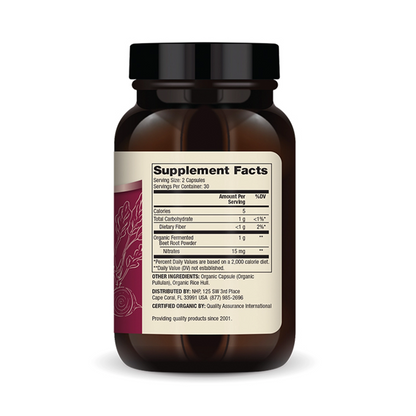 Fermented Beets