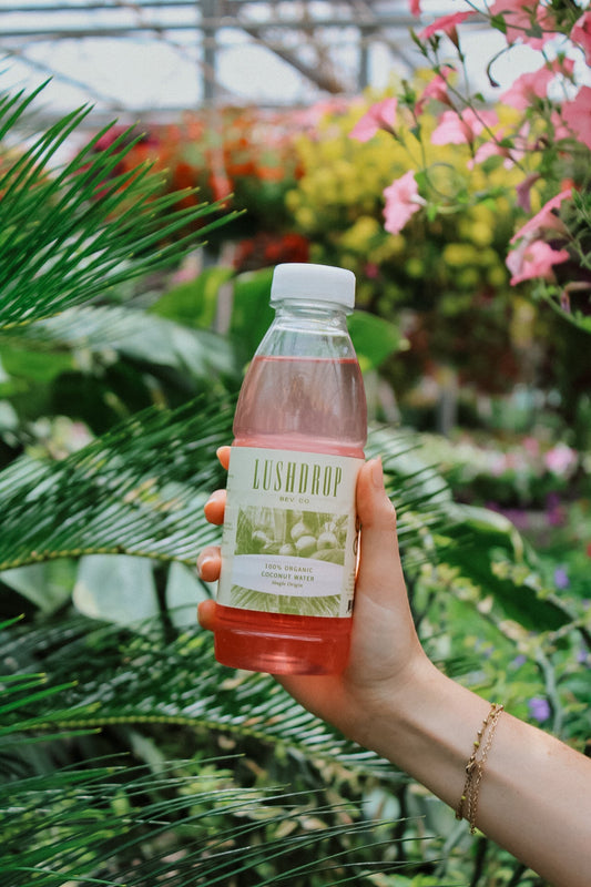 100% Organic Coconut Water - Original