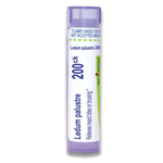 Ledum Palustre 200CK