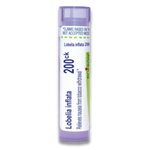Lobelia Inflata 200CK