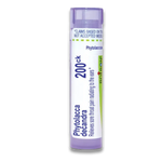 Phytolacca Decandra 200CK