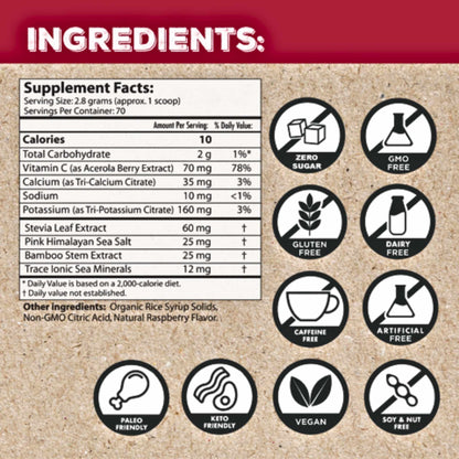 Electrolyte Powder - Raspberry