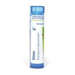 Silicea 6 C Md