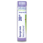 Spongia Tosta 200CK