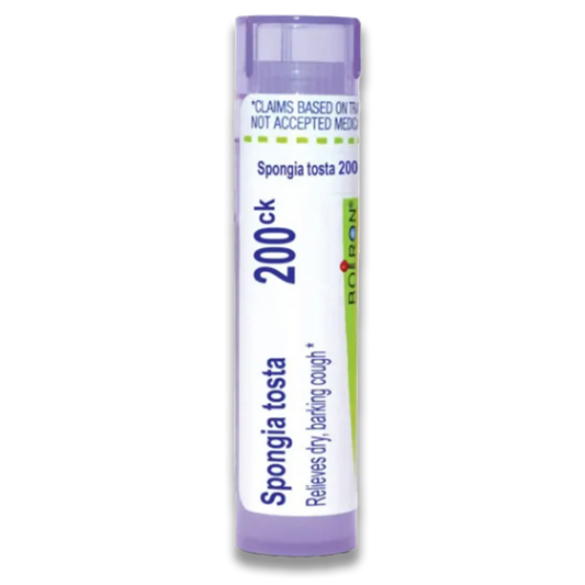 Spongia Tosta 200CK