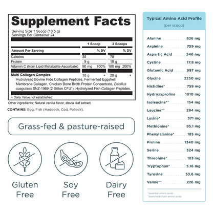 Multi Collagen Protein - Vanilla