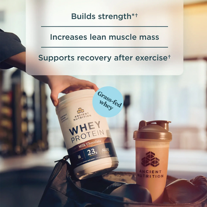 Whey Protein - Milk Chocolate