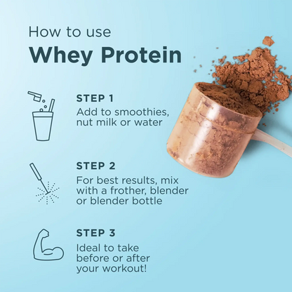 Whey Protein - Milk Chocolate