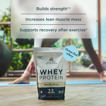 Whey Protein - Vanilla Bean