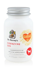 Coenzyme Q10 for Dogs