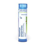 Gelsemium Sempervirens 6 C Md