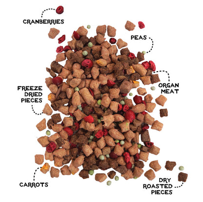 Beef & Salmon Dog Food