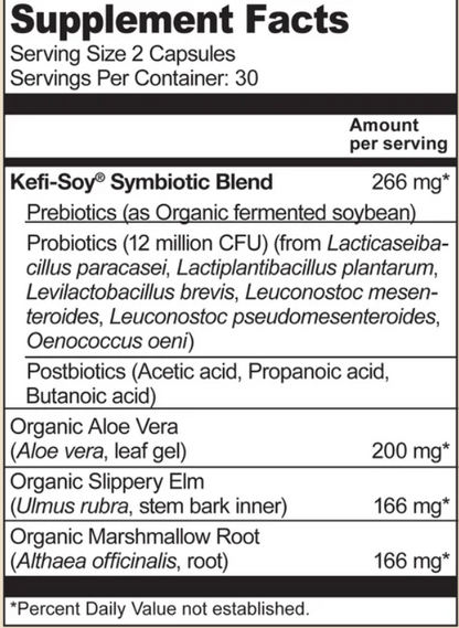 Terrain Fermented Symbiotic 60 Vegan Capsules