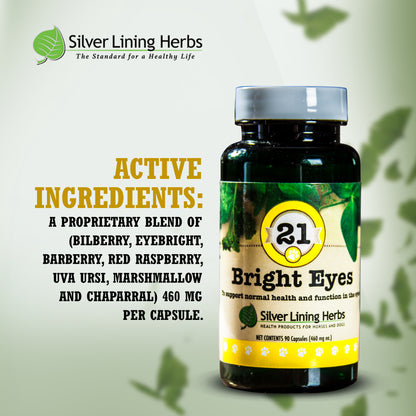 Bright Eyes