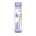 Gelsemium Sempervirens 200CK