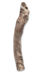 Freeze-Dried Bully Stick