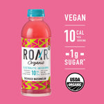 Electrolyte Infusions Cucumber Watermelon