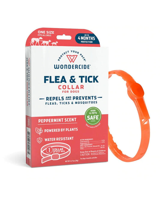 Flea Collar DOG - Peppermint