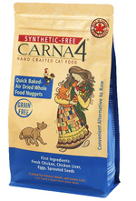 Synthetic Free Cat Food - Chicken Formula