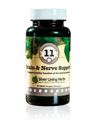 Brain & Nerve Support for Dogs
