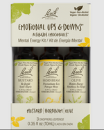 Emotional Ups and Downs: Mental Energy Kit