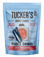 Frozen Salmon Boost Cubes