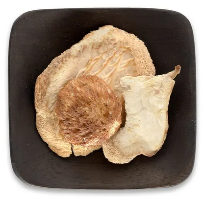 Lion's Mane Mushrooms
