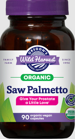 Saw Palmetto