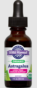 Astragalus - 1:4 extract