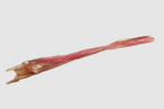 Beef Furs-Bee Stick