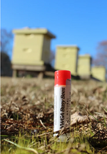 NWGA Busy Bees Beeswax Lip Balm - Peppermint