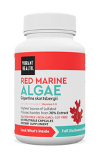 Red Marine Algae