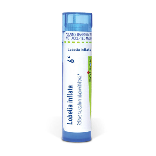 Lobelia Inflata 6C Md