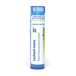 Lachesis Mutus 30 C Md