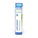 Ledum Palustre 30 C Md