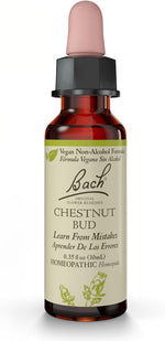 Chestnut Bud