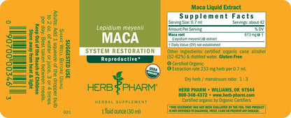 Maca