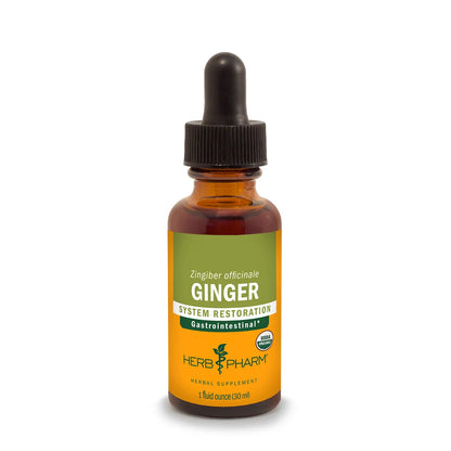 Ginger