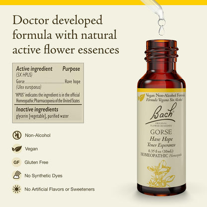 Bach Flower Remedies- Gorse