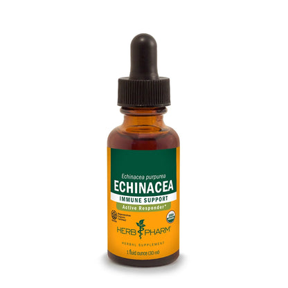 Echinacea
