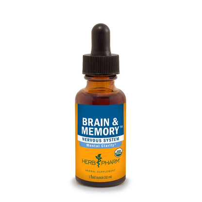 Brain & Memory