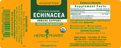 Echinacea - Alcohol Free