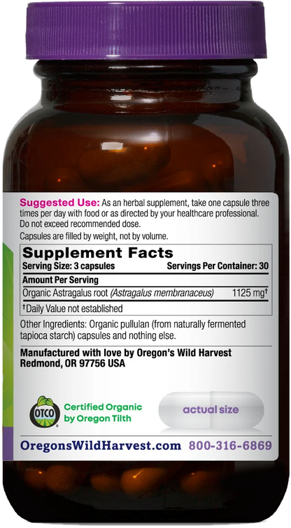 Astragalus